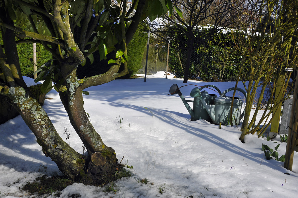 jardin